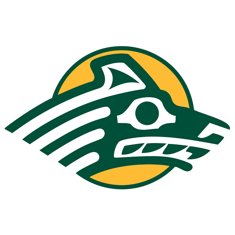 Alaska Anchorage Seawolves iron ons